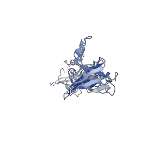 25067_7sef_F_v1-1
Structure of E. coli LetB delta (Ring6) mutant, Ring 1 in the open state (Model 2, Rings 1-3 only)
