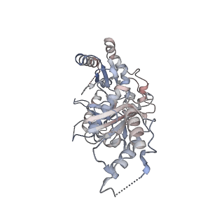 25074_7sep_B_v1-1
Cryo-EM Structure of the RT component of the HIV-1 Pol Polyprotein