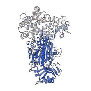 40407_8se9_A_v1-0
Cryo-EM structure of a double loaded human UBA7-UBE2L6-ISG15 thioester mimetic complex (Form 2)