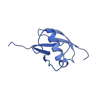 40407_8se9_B_v1-0
Cryo-EM structure of a double loaded human UBA7-UBE2L6-ISG15 thioester mimetic complex (Form 2)