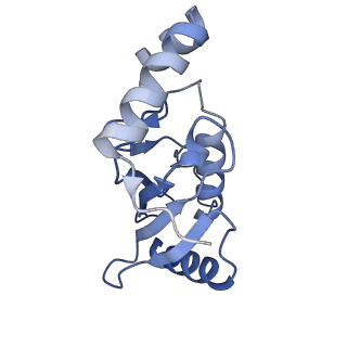 40407_8se9_C_v1-0
Cryo-EM structure of a double loaded human UBA7-UBE2L6-ISG15 thioester mimetic complex (Form 2)