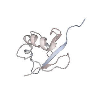 40407_8se9_D_v1-0
Cryo-EM structure of a double loaded human UBA7-UBE2L6-ISG15 thioester mimetic complex (Form 2)