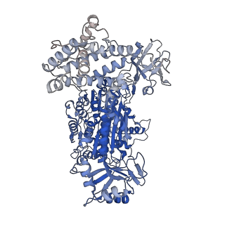 40408_8sea_A_v1-0
Cryo-EM structure of a double loaded human UBA7-UBE2L6-ISG15 thioester mimetic complex (Form 1)