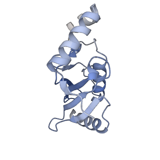 40408_8sea_C_v1-0
Cryo-EM structure of a double loaded human UBA7-UBE2L6-ISG15 thioester mimetic complex (Form 1)