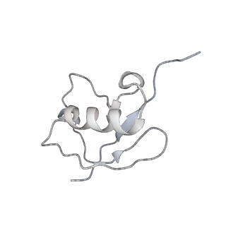 40408_8sea_D_v1-0
Cryo-EM structure of a double loaded human UBA7-UBE2L6-ISG15 thioester mimetic complex (Form 1)