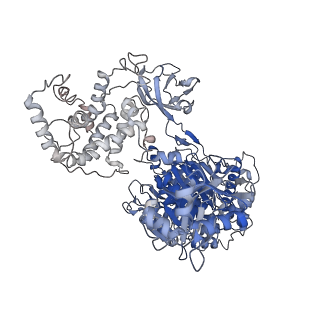 40409_8seb_A_v1-0
Cryo-EM structure of a single loaded human UBA7-UBE2L6-ISG15 adenylate complex