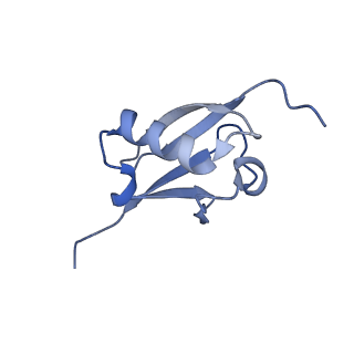 40409_8seb_B_v1-0
Cryo-EM structure of a single loaded human UBA7-UBE2L6-ISG15 adenylate complex