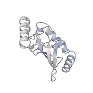 40409_8seb_C_v1-0
Cryo-EM structure of a single loaded human UBA7-UBE2L6-ISG15 adenylate complex