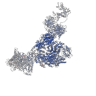40422_8sen_A_v1-2
Cryo-EM Structure of RyR1