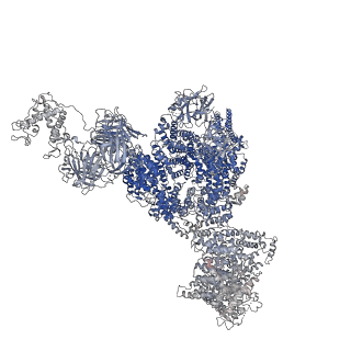 40422_8sen_B_v1-2
Cryo-EM Structure of RyR1