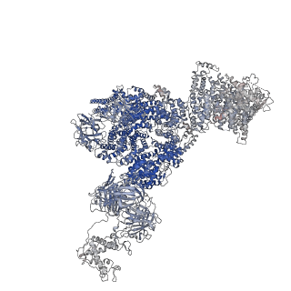 40422_8sen_C_v1-2
Cryo-EM Structure of RyR1