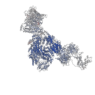 40422_8sen_D_v1-2
Cryo-EM Structure of RyR1