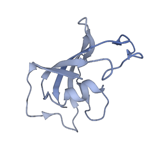 40422_8sen_F_v1-2
Cryo-EM Structure of RyR1
