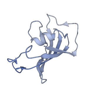 40422_8sen_H_v1-2
Cryo-EM Structure of RyR1