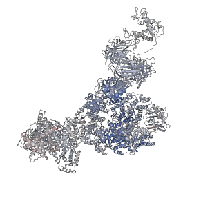 40423_8seo_A_v1-2
Cryo-EM Structure of RyR1 + ATP-gamma-S