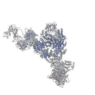 40423_8seo_B_v1-2
Cryo-EM Structure of RyR1 + ATP-gamma-S