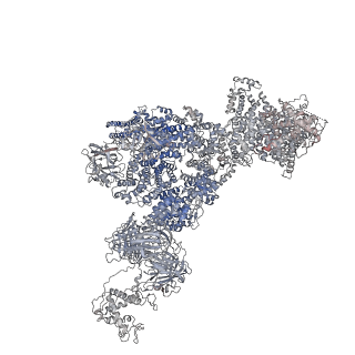 40423_8seo_C_v1-2
Cryo-EM Structure of RyR1 + ATP-gamma-S