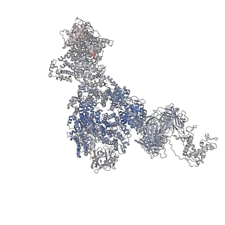 40423_8seo_D_v1-2
Cryo-EM Structure of RyR1 + ATP-gamma-S