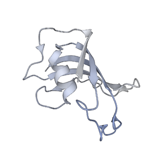 40423_8seo_E_v1-2
Cryo-EM Structure of RyR1 + ATP-gamma-S