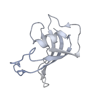 40423_8seo_H_v1-2
Cryo-EM Structure of RyR1 + ATP-gamma-S