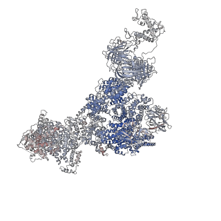 40424_8sep_A_v1-2
Cryo-EM Structure of RyR1 + ADP