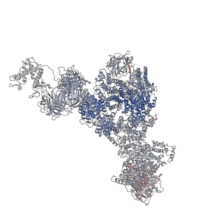 40424_8sep_B_v1-2
Cryo-EM Structure of RyR1 + ADP