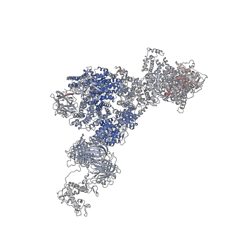 40424_8sep_C_v1-2
Cryo-EM Structure of RyR1 + ADP