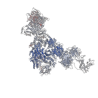 40424_8sep_D_v1-2
Cryo-EM Structure of RyR1 + ADP