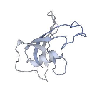 40424_8sep_F_v1-2
Cryo-EM Structure of RyR1 + ADP