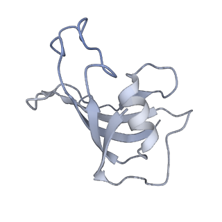 40424_8sep_G_v1-2
Cryo-EM Structure of RyR1 + ADP