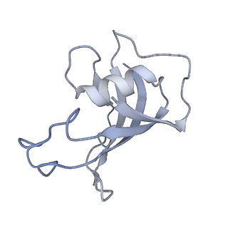 40424_8sep_H_v1-2
Cryo-EM Structure of RyR1 + ADP
