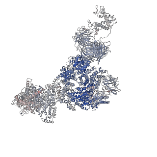 40425_8seq_A_v1-2
Cryo-EM Structure of RyR1 + AMP