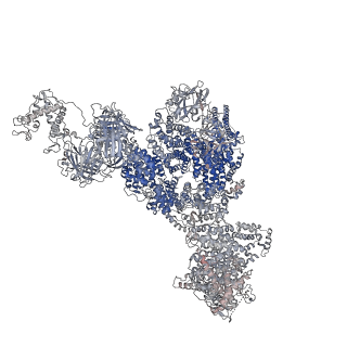 40425_8seq_B_v1-2
Cryo-EM Structure of RyR1 + AMP