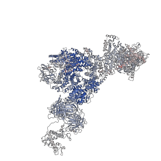 40425_8seq_C_v1-2
Cryo-EM Structure of RyR1 + AMP