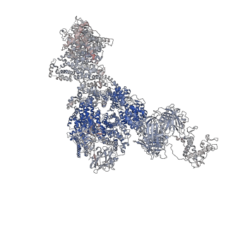 40425_8seq_D_v1-2
Cryo-EM Structure of RyR1 + AMP