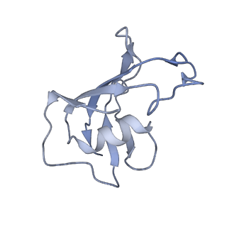 40425_8seq_F_v1-2
Cryo-EM Structure of RyR1 + AMP