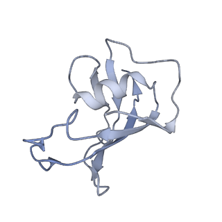 40425_8seq_H_v1-2
Cryo-EM Structure of RyR1 + AMP