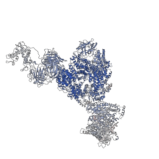 40426_8ser_B_v1-2
Cryo-EM Structure of RyR1 + Adenosine