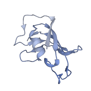 40426_8ser_E_v1-2
Cryo-EM Structure of RyR1 + Adenosine