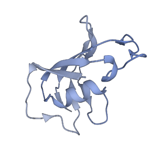 40426_8ser_F_v1-2
Cryo-EM Structure of RyR1 + Adenosine
