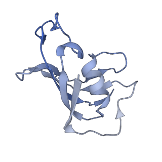 40426_8ser_G_v1-2
Cryo-EM Structure of RyR1 + Adenosine
