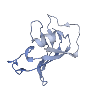 40426_8ser_H_v1-2
Cryo-EM Structure of RyR1 + Adenosine