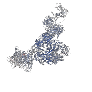 40427_8ses_A_v1-2
Cryo-EM Structure of RyR1 + Adenine