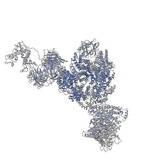 40427_8ses_B_v1-2
Cryo-EM Structure of RyR1 + Adenine