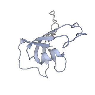 40427_8ses_F_v1-2
Cryo-EM Structure of RyR1 + Adenine