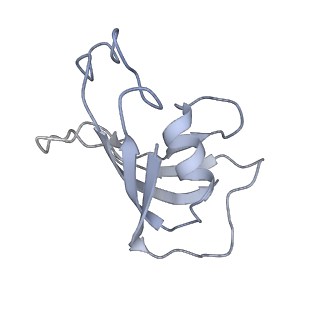 40427_8ses_G_v1-2
Cryo-EM Structure of RyR1 + Adenine