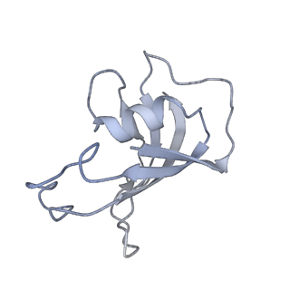 40427_8ses_H_v1-2
Cryo-EM Structure of RyR1 + Adenine