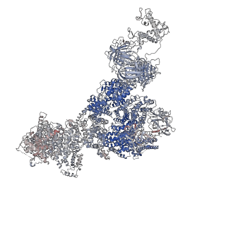 40428_8set_A_v1-2
Cryo-EM Structure of RyR1 + cAMP