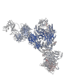 40428_8set_B_v1-2
Cryo-EM Structure of RyR1 + cAMP
