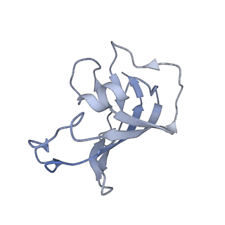 40428_8set_H_v1-2
Cryo-EM Structure of RyR1 + cAMP